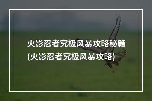 火影忍者究极风暴攻略秘籍(火影忍者究极风暴攻略)