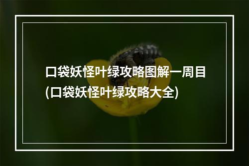 口袋妖怪叶绿攻略图解一周目(口袋妖怪叶绿攻略大全)