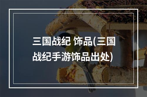 三国战纪 饰品(三国战纪手游饰品出处)