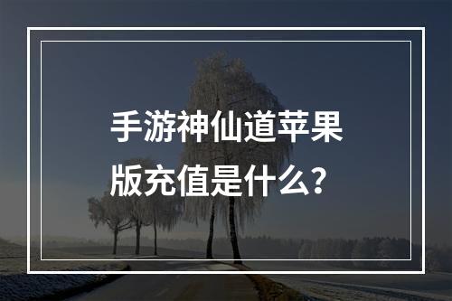 手游神仙道苹果版充值是什么？