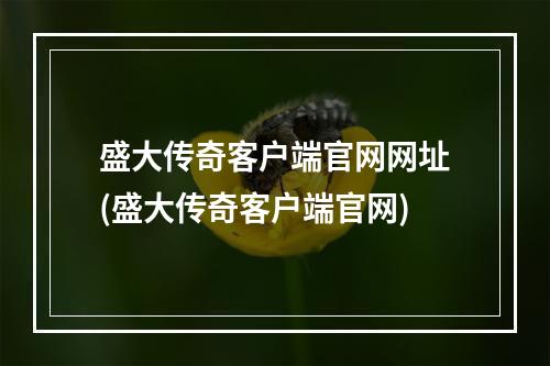 盛大传奇客户端官网网址(盛大传奇客户端官网)