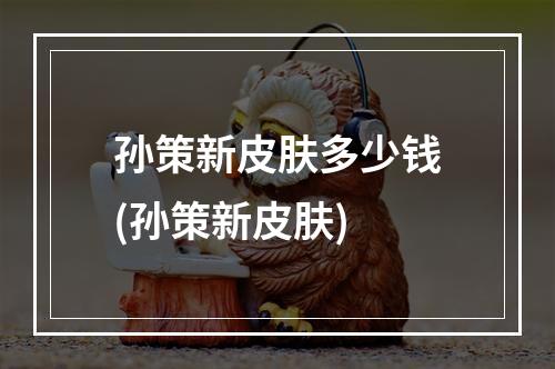 孙策新皮肤多少钱(孙策新皮肤)