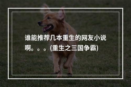 谁能推荐几本重生的网友小说啊。。。(重生之三国争霸)