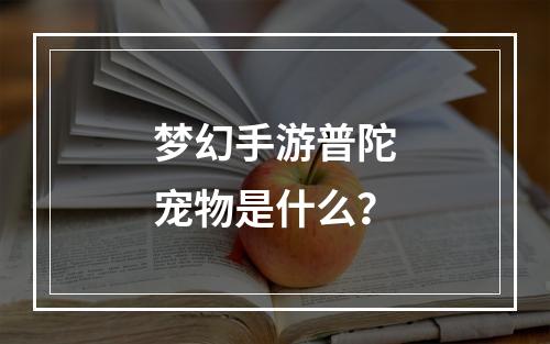 梦幻手游普陀宠物是什么？