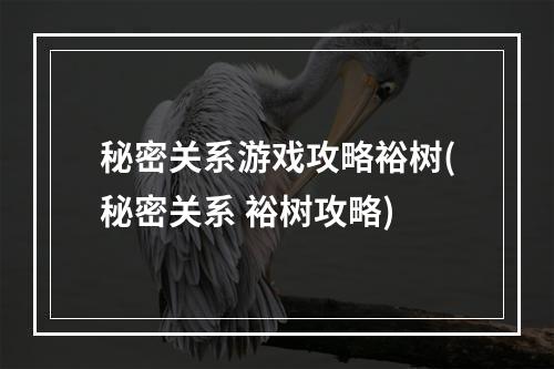 秘密关系游戏攻略裕树(秘密关系 裕树攻略)