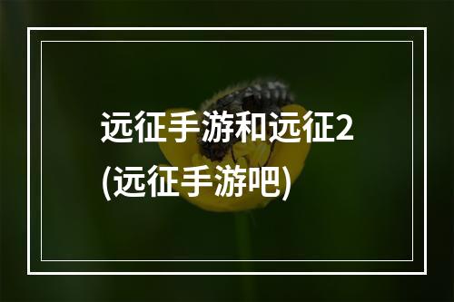 远征手游和远征2(远征手游吧)