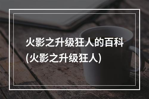 火影之升级狂人的百科(火影之升级狂人)