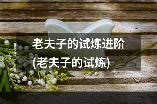 老夫子的试炼进阶(老夫子的试炼)