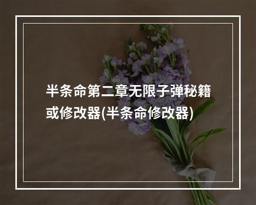 半条命第二章无限子弹秘籍或修改器(半条命修改器)