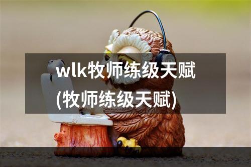 wlk牧师练级天赋(牧师练级天赋)