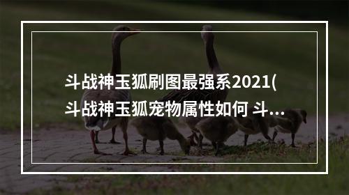 斗战神玉狐刷图最强系2021(斗战神玉狐宠物属性如何 斗战神玉狐宠物值得培养吗)