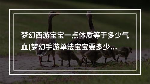 梦幻西游宝宝一点体质等于多少气血(梦幻手游单法宝宝要多少体质)