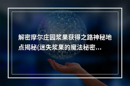 解密摩尔庄园浆果获得之路神秘地点揭秘(迷失浆果的魔法秘密)