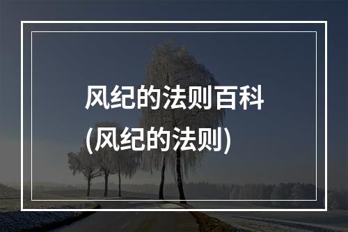 风纪的法则百科(风纪的法则)