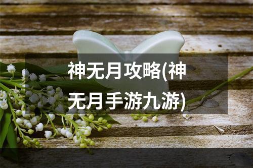 神无月攻略(神无月手游九游)