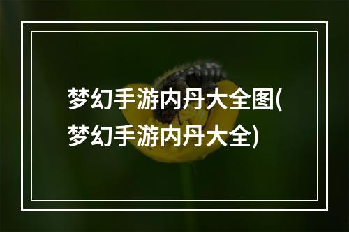 梦幻手游内丹大全图(梦幻手游内丹大全)