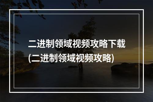 二进制领域视频攻略下载(二进制领域视频攻略)