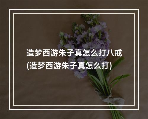 造梦西游朱子真怎么打八戒(造梦西游朱子真怎么打)