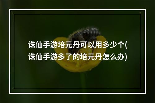 诛仙手游培元丹可以用多少个(诛仙手游多了的培元丹怎么办)