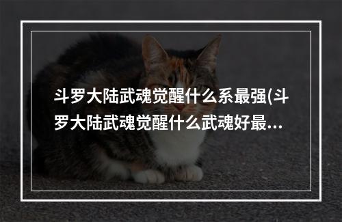 斗罗大陆武魂觉醒什么系最强(斗罗大陆武魂觉醒什么武魂好最强武魂排行榜2022)