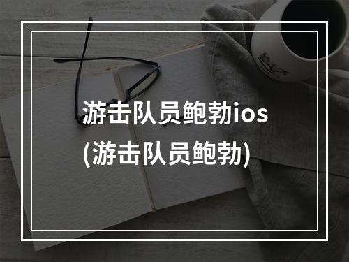 游击队员鲍勃ios(游击队员鲍勃)