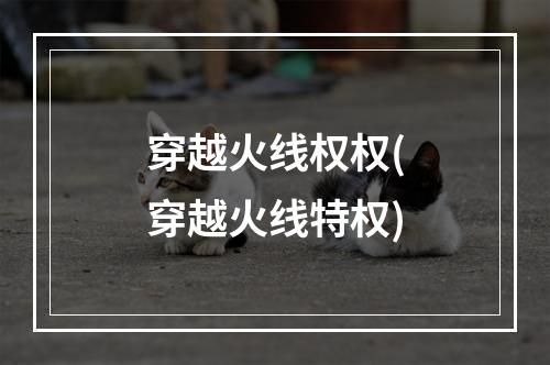 穿越火线权权(穿越火线特权)