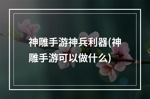 神雕手游神兵利器(神雕手游可以做什么)