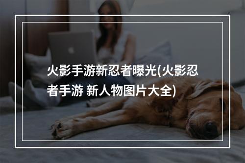 火影手游新忍者曝光(火影忍者手游 新人物图片大全)