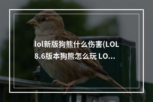 lol新版狗熊什么伤害(LOL8.6版本狗熊怎么玩 LOL8.6版本狗熊符文、出装打法)