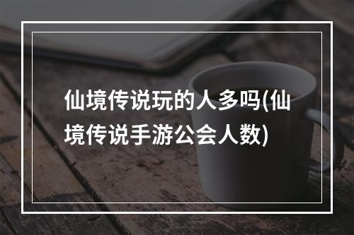 仙境传说玩的人多吗(仙境传说手游公会人数)