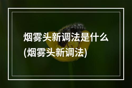 烟雾头新调法是什么(烟雾头新调法)