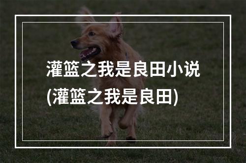 灌篮之我是良田小说(灌篮之我是良田)