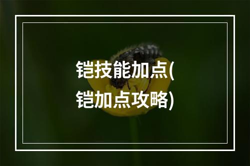 铠技能加点(铠加点攻略)