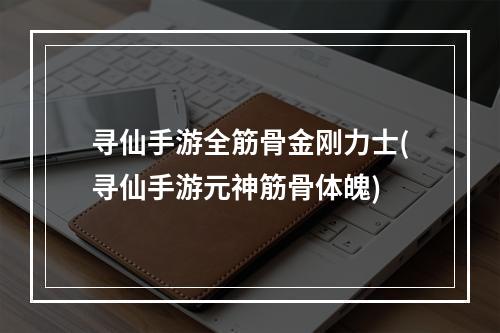 寻仙手游全筋骨金刚力士(寻仙手游元神筋骨体魄)