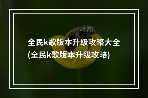 全民k歌版本升级攻略大全(全民k歌版本升级攻略)