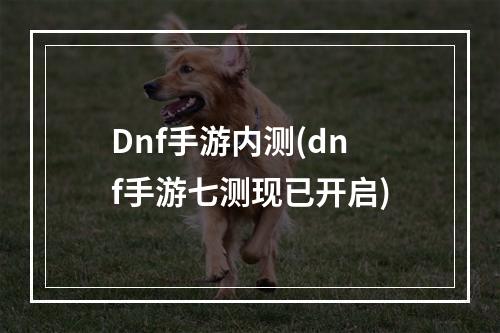 Dnf手游内测(dnf手游七测现已开启)