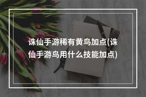 诛仙手游稀有黄鸟加点(诛仙手游鸟用什么技能加点)