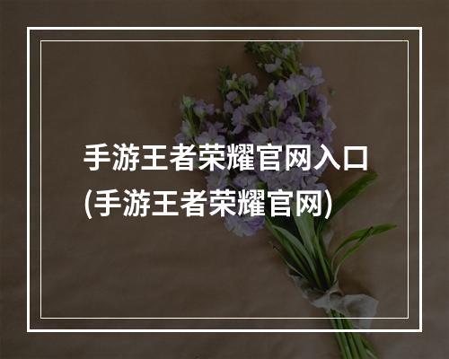 手游王者荣耀官网入口(手游王者荣耀官网)