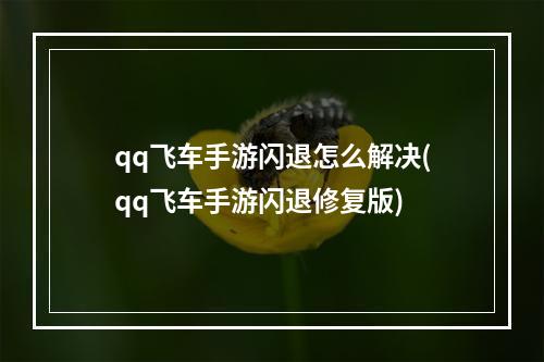 qq飞车手游闪退怎么解决(qq飞车手游闪退修复版)