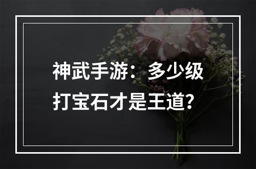 神武手游：多少级打宝石才是王道？