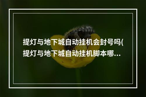 提灯与地下城自动挂机会封号吗(提灯与地下城自动挂机脚本哪里有自动挂机怎么开)