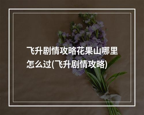 飞升剧情攻略花果山哪里怎么过(飞升剧情攻略)