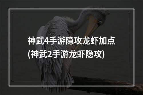 神武4手游隐攻龙虾加点(神武2手游龙虾隐攻)