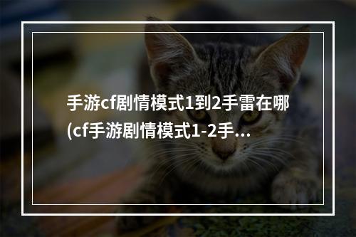 手游cf剧情模式1到2手雷在哪(cf手游剧情模式1-2手雷)