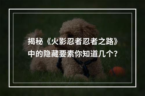 揭秘《火影忍者忍者之路》中的隐藏要素你知道几个？