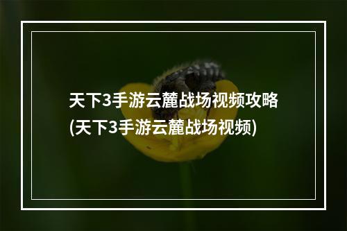 天下3手游云麓战场视频攻略(天下3手游云麓战场视频)