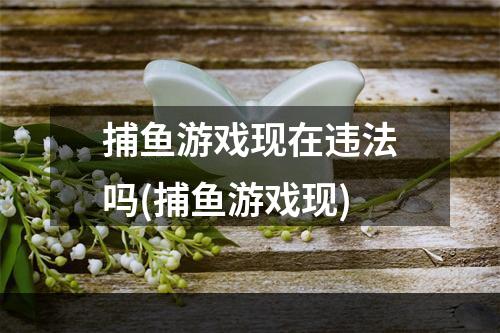 捕鱼游戏现在违法吗(捕鱼游戏现)