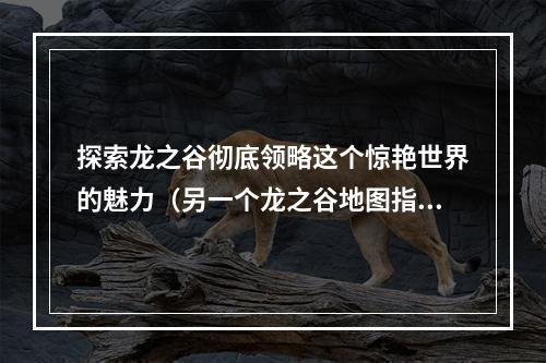 探索龙之谷彻底领略这个惊艳世界的魅力（另一个龙之谷地图指南快速上手全地图信息）