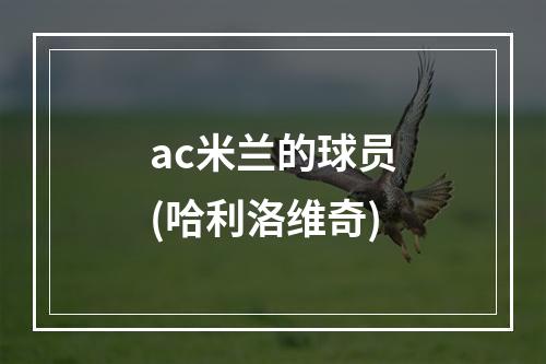 ac米兰的球员(哈利洛维奇)