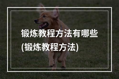 锻炼教程方法有哪些(锻炼教程方法)